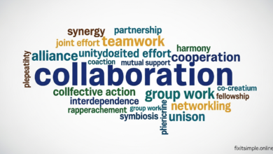 Another Word for Collaboration