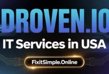 droven.io it services in usa